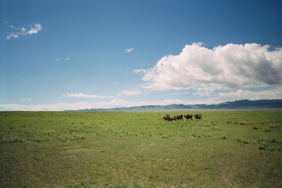 Fotografie einer weiten grünen Steppe mit blaune Himmel. Rechts im Bild, klein am Horizont, sind Menschen auf Pferden